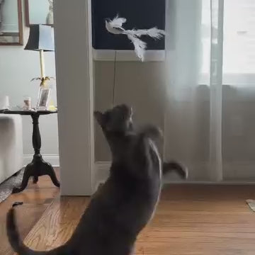 Katt hoppar efter fjäderfågeln på Katt Jakten